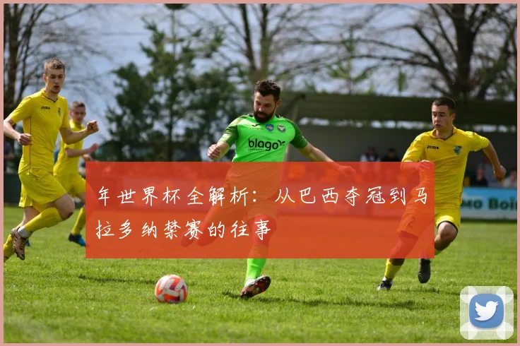年世界杯全解析:从巴西夺冠到马拉多纳禁赛的往事